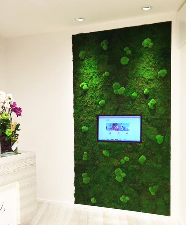Allestimento Parete vegetale con TV